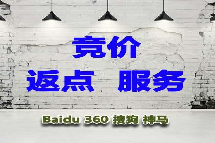 经典案例：专业SEM托管如何实现ROI最大化